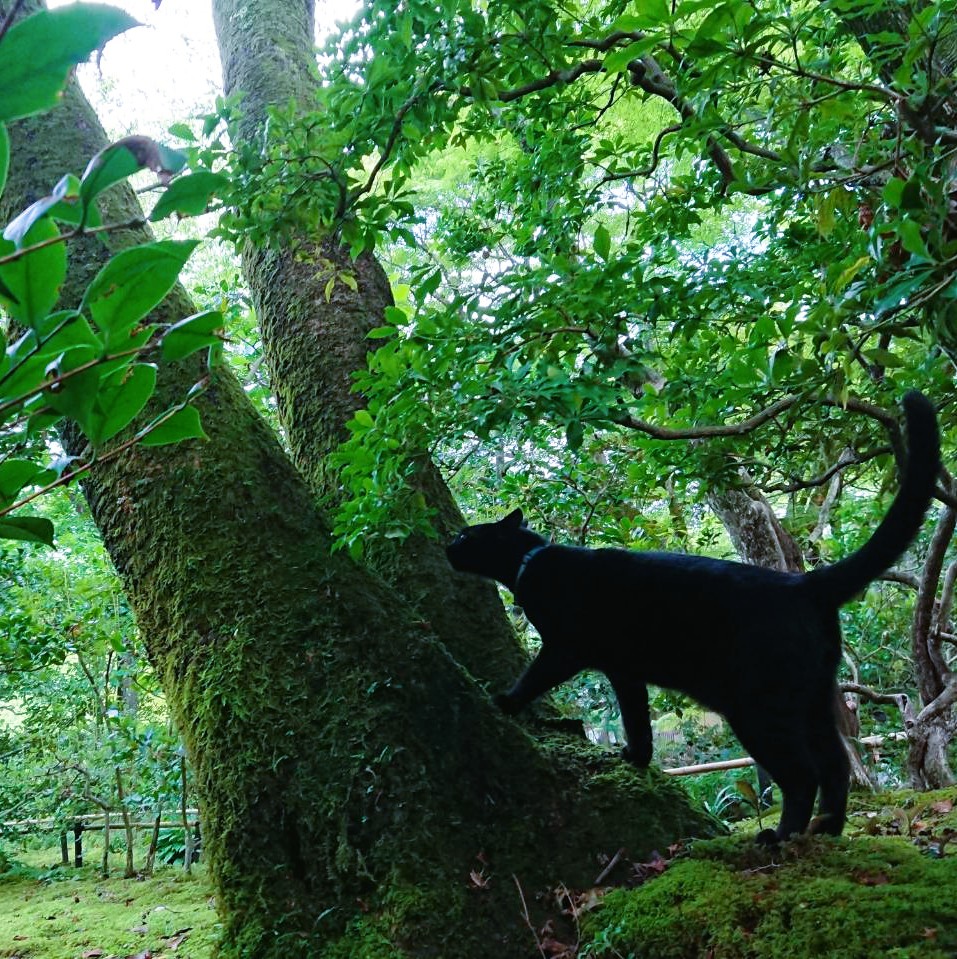 ホームページを開設しました！
